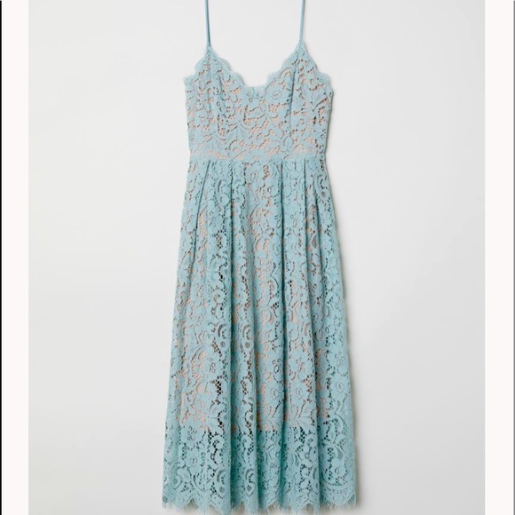 knee length dresses for ladies Hattie Dress in Cornflower Blue Lace